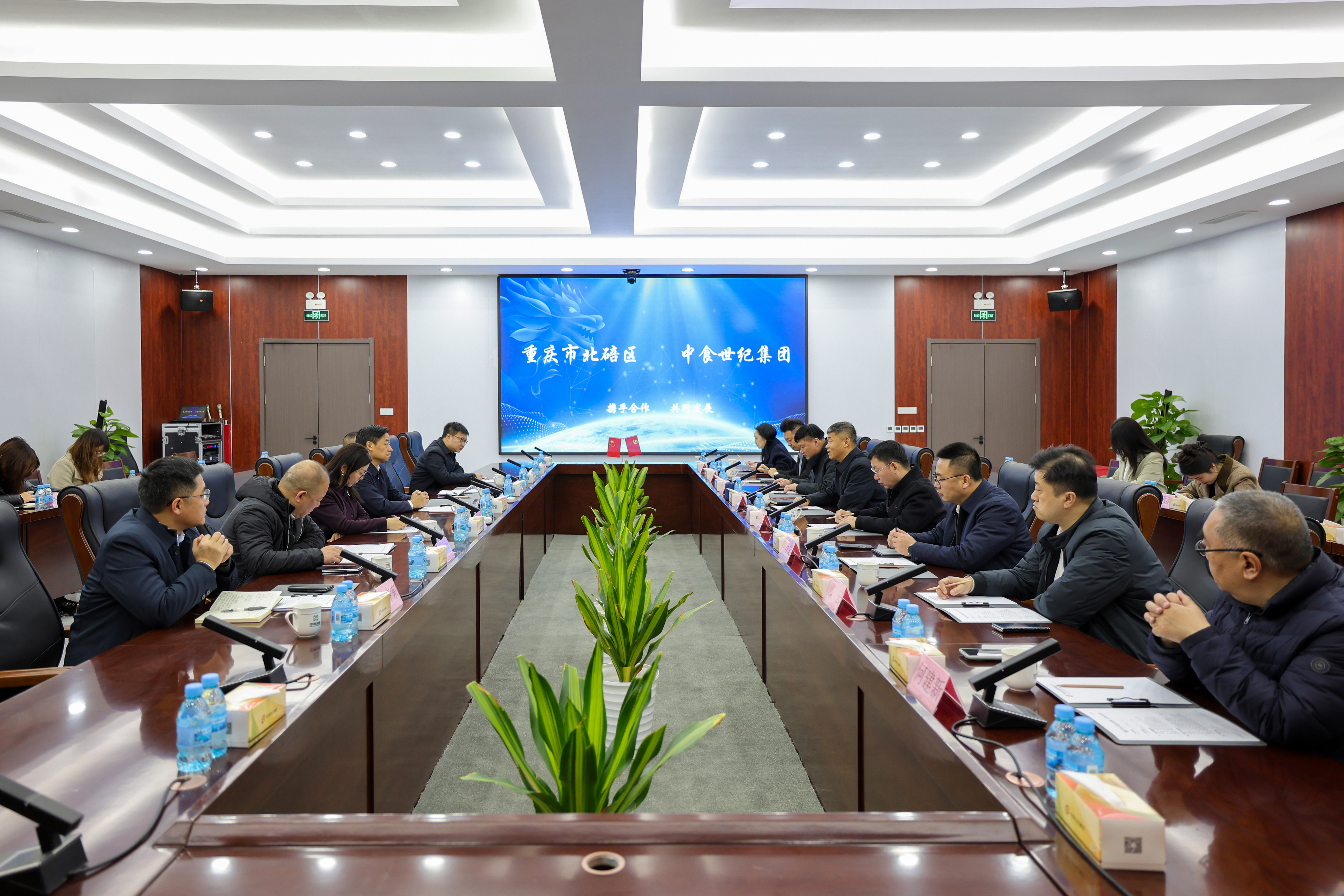 王文亮與重慶市北碚區委副書記、區長卓大林會談，蘇德庫參加會談